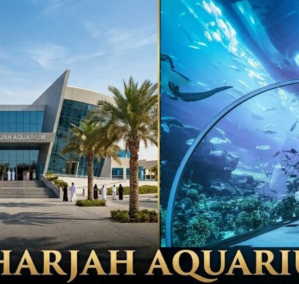 Sharjah Aquarium