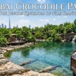 Dubai Crocodile Park