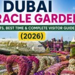 Dubai Miracle Garden