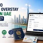 How to Check Overstay Fine in UAE Online