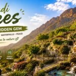 Scenic view of Wadi Shees in Sharjah featuring the Hajar Mountains, lush terraced gardens, cascading waterfall, palm trees, and walking trails.