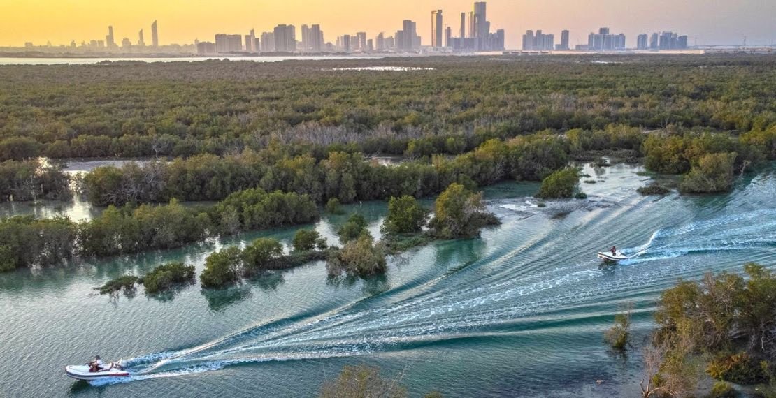 Best Time to Visit Mangrove National Park