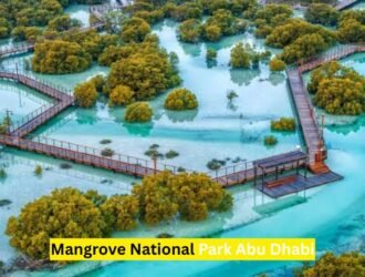 Mangrove National Park Abu Dhabi