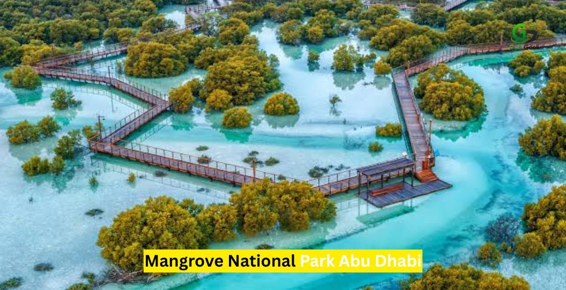 Mangrove National Park Abu Dhabi